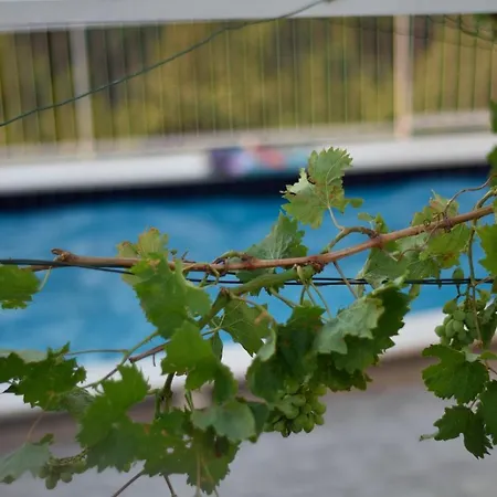 Nika Διαμέρισμα Mlini